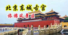 毛茸茸的吊屄欧美人交配中国北京-东城古宫旅游风景区